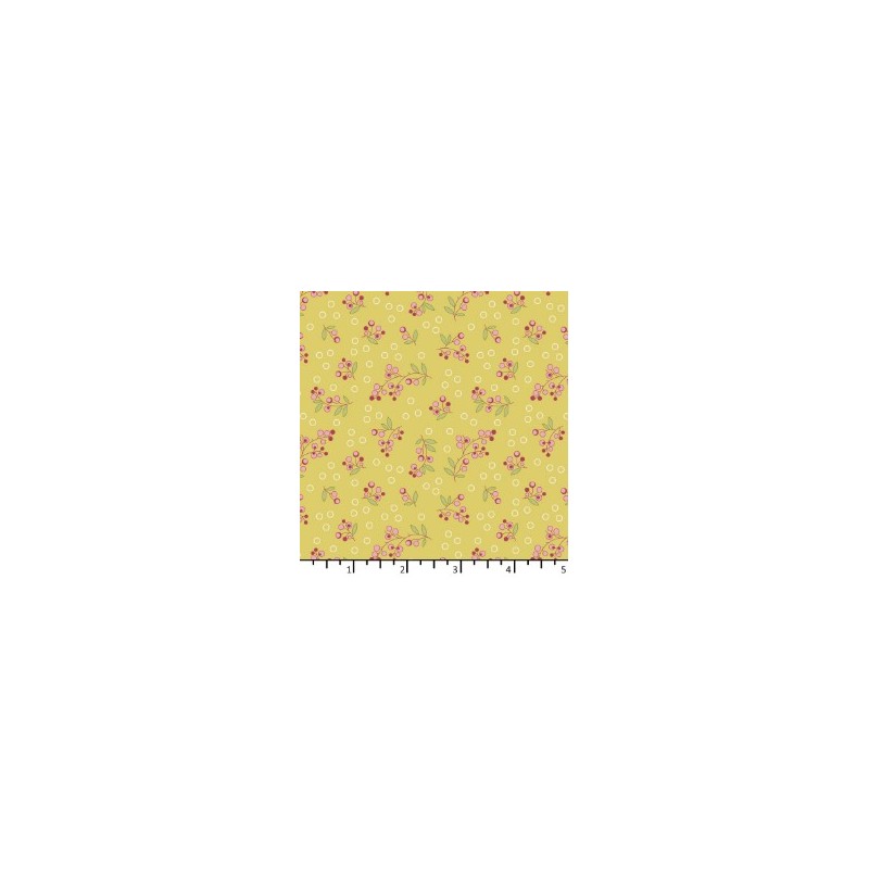 Tissu Baies sauvage sweet sunshine de chez EQP Textiles