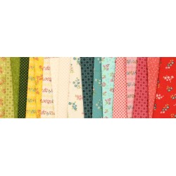 Tissu Baies sauvage sweet sunshine de chez EQP Textiles